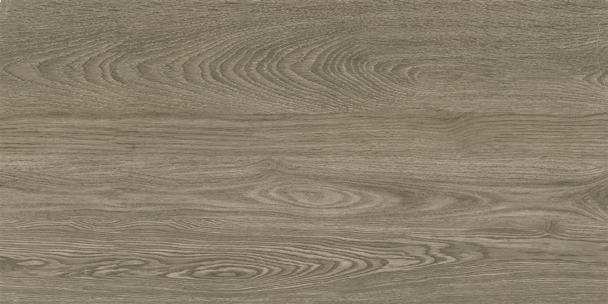 中生代木化石 / CM126513 / 600x1200mm / 木纹砖